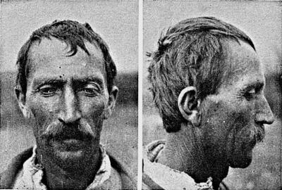 Иллюстрация к книге — Расы Европы [_322.jpg]