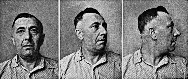 Иллюстрация к книге — Расы Европы [_334.jpg]