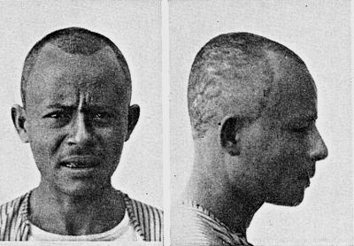 Иллюстрация к книге — Расы Европы [_338.jpg]