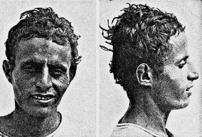 Иллюстрация к книге — Расы Европы [_339.jpg]