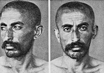 Иллюстрация к книге — Расы Европы [_341.jpg]