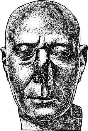 Иллюстрация к книге — Расы Европы [_36.jpg]