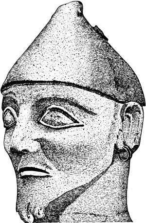 Иллюстрация к книге — Расы Европы [_43.jpg]