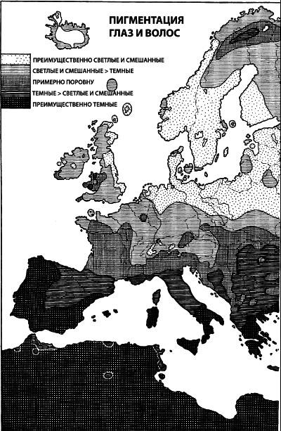Иллюстрация к книге — Расы Европы [_56.jpg]