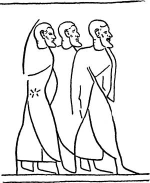 Иллюстрация к книге — Расы Европы [_72.jpg]