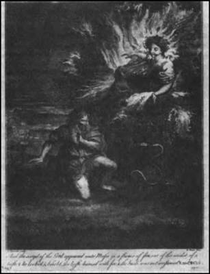 Иллюстрация к книге — Проклятие Тутанхамона [i_017.jpg]