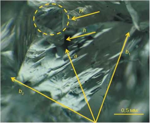 Иллюстрация к книге — Неизвестный алмаз. &quot;Артефакты&quot; технологии [i_083.jpg]