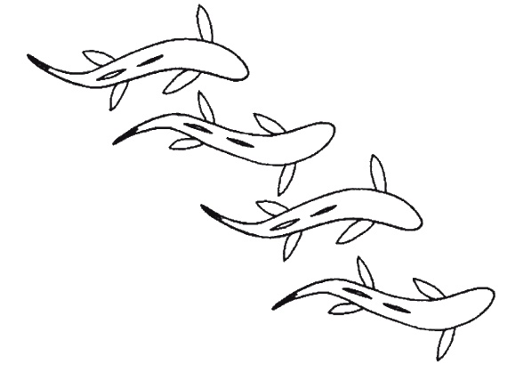 Иллюстрация к книге — Странности нашей эволюции [i_005.jpg]