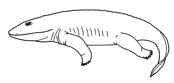 Иллюстрация к книге — Странности нашей эволюции [i_009.jpg]