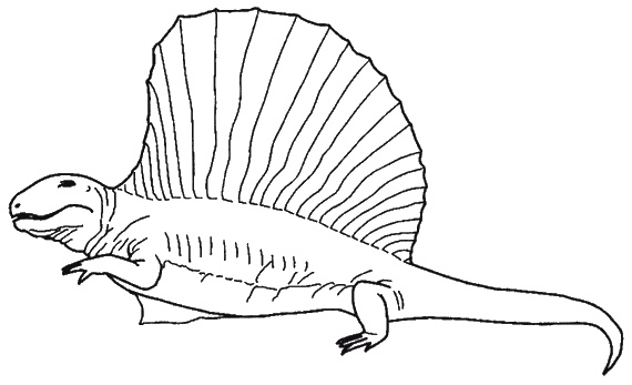 Иллюстрация к книге — Странности нашей эволюции [i_010.jpg]