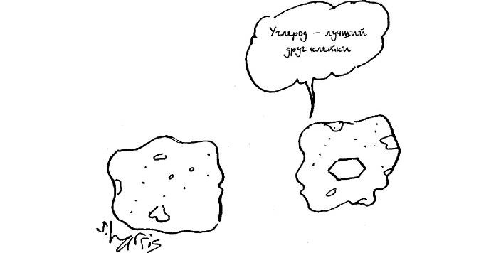 Иллюстрация к книге — Пять нерешенных проблем науки [i_020.jpg]