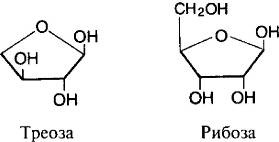 Иллюстрация к книге — Пять нерешенных проблем науки [i_032.jpg]