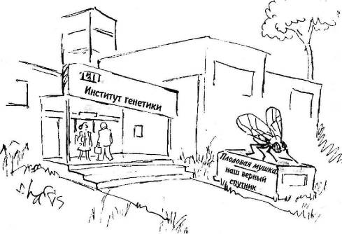 Иллюстрация к книге — Пять нерешенных проблем науки [i_044.jpg]