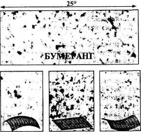 Иллюстрация к книге — Пять нерешенных проблем науки [i_079.jpg]