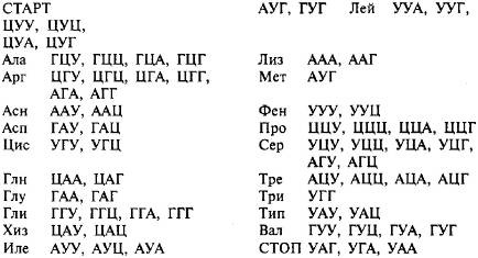 Иллюстрация к книге — Пять нерешенных проблем науки [i_089.jpg]