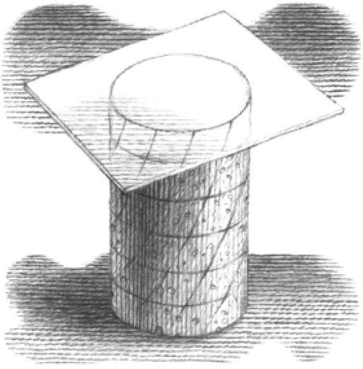 Иллюстрация к книге — Веселые научные опыты и эксперименты [i_062.jpg]