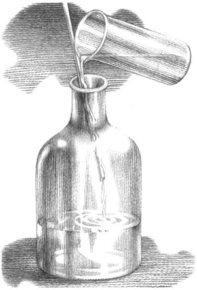 Иллюстрация к книге — Веселые научные опыты и эксперименты [i_067.jpg]