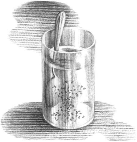 Иллюстрация к книге — Веселые научные опыты и эксперименты [i_073.jpg]