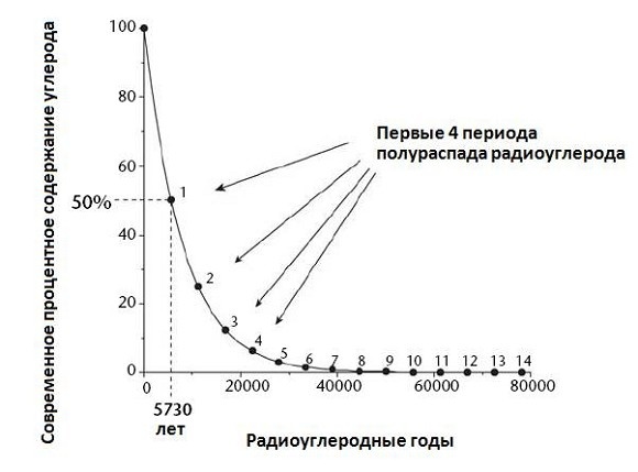 Иллюстрация к книге — Кости, скалы и звезды. Наука о том, когда что произошло [i_003.jpg]