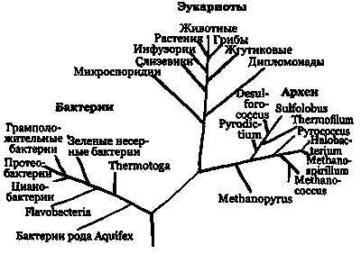 Иллюстрация к книге — Эволюция Вселенной и происхождение жизни [img4ced.jpg]