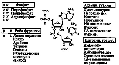 Иллюстрация к книге — Эволюция Вселенной и происхождение жизни [img68.jpg]