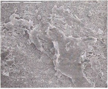 Иллюстрация к книге — Эволюция Вселенной и происхождение жизни [img6a52.jpg]