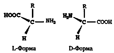 Иллюстрация к книге — Эволюция Вселенной и происхождение жизни [imgd435.jpg]