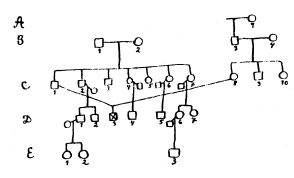 Иллюстрация к книге — Мозг отправьте по адресу... [i_001.jpg]