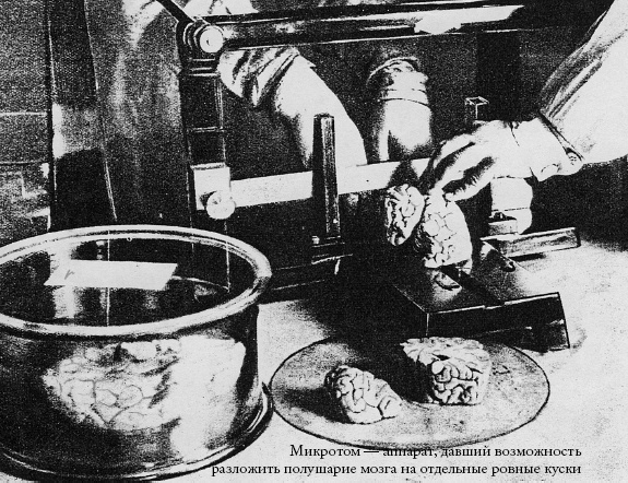 Иллюстрация к книге — Мозг отправьте по адресу... [i_003.jpg]