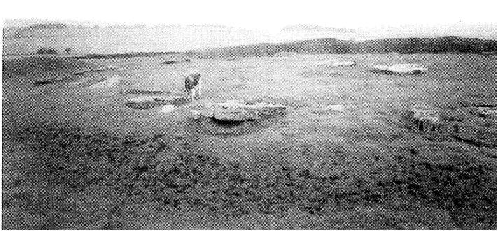 Иллюстрация к книге — Мистические и священные места мира [i_001.jpg]