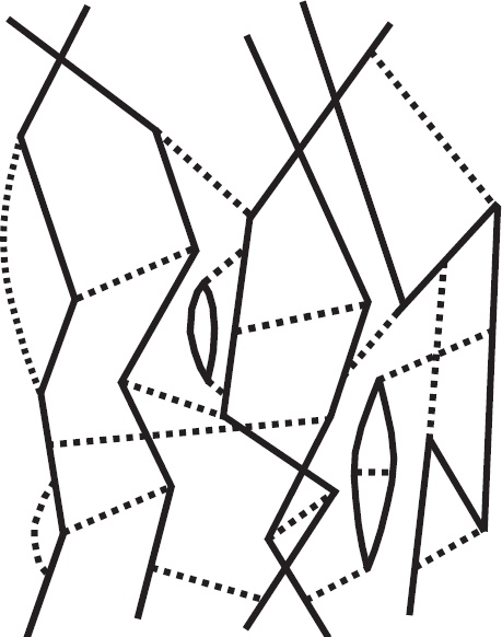 Иллюстрация к книге — Космический ландшафт. Теория струн и иллюзия разумного замысла Вселенной [_15.jpg]