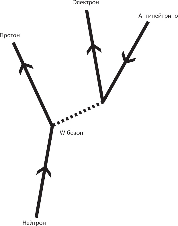 Иллюстрация к книге — Космический ландшафт. Теория струн и иллюзия разумного замысла Вселенной [_18.jpg]
