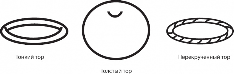 Иллюстрация к книге — Космический ландшафт. Теория струн и иллюзия разумного замысла Вселенной [_64.jpg]