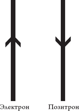 Иллюстрация к книге — Космический ландшафт. Теория струн и иллюзия разумного замысла Вселенной [_9.jpg]