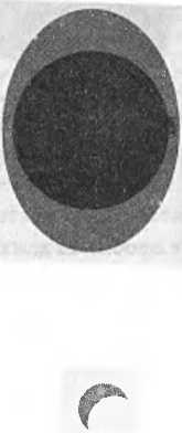 Иллюстрация к книге — Битва при черной дыре. Мое сражение со Стивеном Хокингом за мир, безопасный для квантовой механики [i_011.jpg]