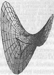 Иллюстрация к книге — Битва при черной дыре. Мое сражение со Стивеном Хокингом за мир, безопасный для квантовой механики [i_025.jpg]