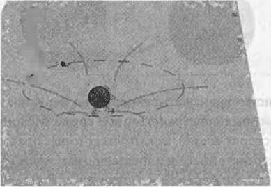 Иллюстрация к книге — Битва при черной дыре. Мое сражение со Стивеном Хокингом за мир, безопасный для квантовой механики [i_035.jpg]