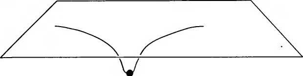 Иллюстрация к книге — Битва при черной дыре. Мое сражение со Стивеном Хокингом за мир, безопасный для квантовой механики [i_039.jpg]