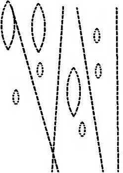 Иллюстрация к книге — Битва при черной дыре. Мое сражение со Стивеном Хокингом за мир, безопасный для квантовой механики [i_080.jpg]