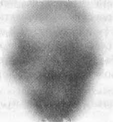 Иллюстрация к книге — Битва при черной дыре. Мое сражение со Стивеном Хокингом за мир, безопасный для квантовой механики [i_102.jpg]