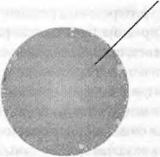 Иллюстрация к книге — Битва при черной дыре. Мое сражение со Стивеном Хокингом за мир, безопасный для квантовой механики [i_105.jpg]