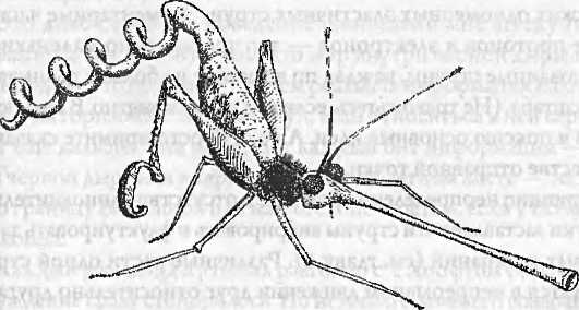 Иллюстрация к книге — Битва при черной дыре. Мое сражение со Стивеном Хокингом за мир, безопасный для квантовой механики [i_119.jpg]