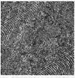 Иллюстрация к книге — Битва при черной дыре. Мое сражение со Стивеном Хокингом за мир, безопасный для квантовой механики [i_121.jpg]