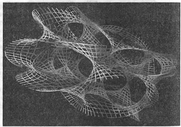 Иллюстрация к книге — Битва при черной дыре. Мое сражение со Стивеном Хокингом за мир, безопасный для квантовой механики [i_158.jpg]