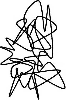 Иллюстрация к книге — Битва при черной дыре. Мое сражение со Стивеном Хокингом за мир, безопасный для квантовой механики [i_178.jpg]