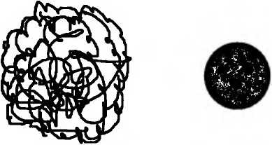 Иллюстрация к книге — Битва при черной дыре. Мое сражение со Стивеном Хокингом за мир, безопасный для квантовой механики [i_181.jpg]