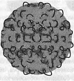 Иллюстрация к книге — Битва при черной дыре. Мое сражение со Стивеном Хокингом за мир, безопасный для квантовой механики [i_186.jpg]