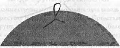 Иллюстрация к книге — Битва при черной дыре. Мое сражение со Стивеном Хокингом за мир, безопасный для квантовой механики [i_192.jpg]