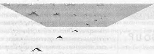 Иллюстрация к книге — Битва при черной дыре. Мое сражение со Стивеном Хокингом за мир, безопасный для квантовой механики [i_218.jpg]