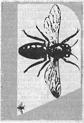 Иллюстрация к книге — Битва при черной дыре. Мое сражение со Стивеном Хокингом за мир, безопасный для квантовой механики [i_220.jpg]